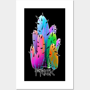 Prickly Cactus Posters and Art
